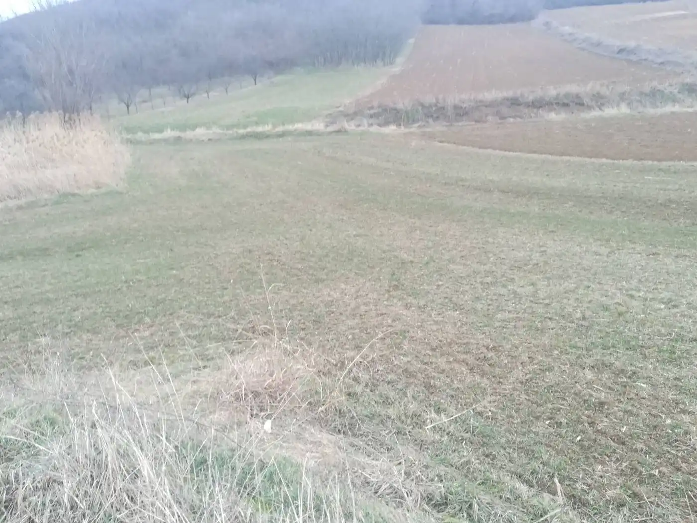 plac na prodaju Novi Slankamen, 2978m2 543963