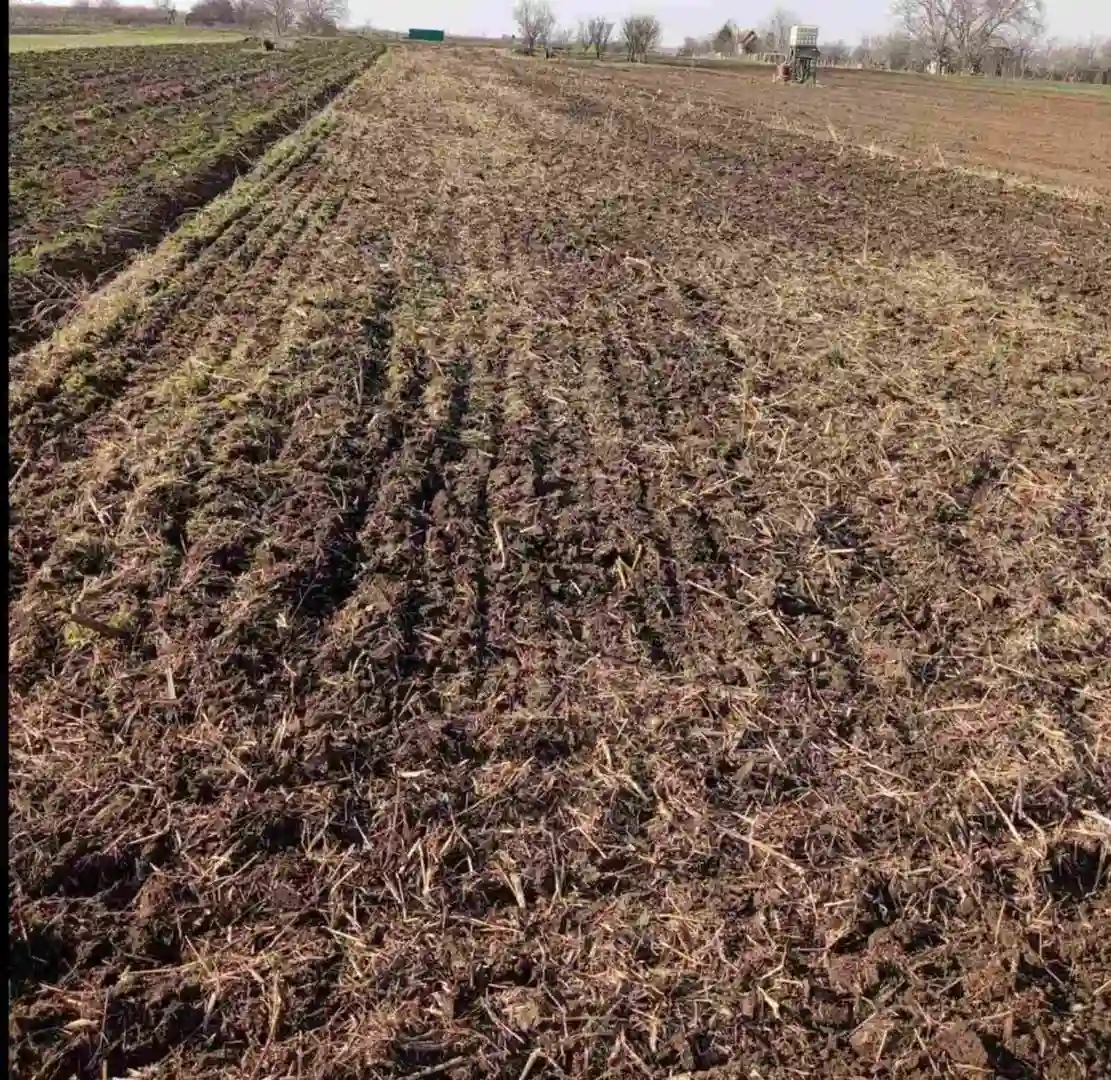 plac na prodaju Rumenka, 1109m2 542828