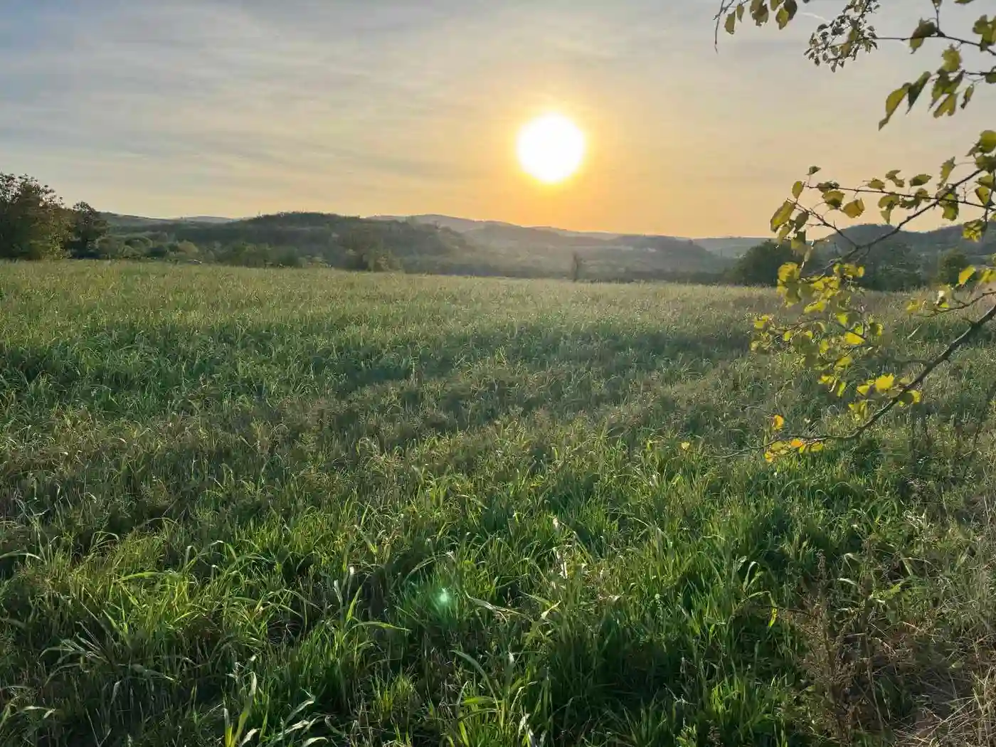 plac na prodaju Rakovac 934m2 537242