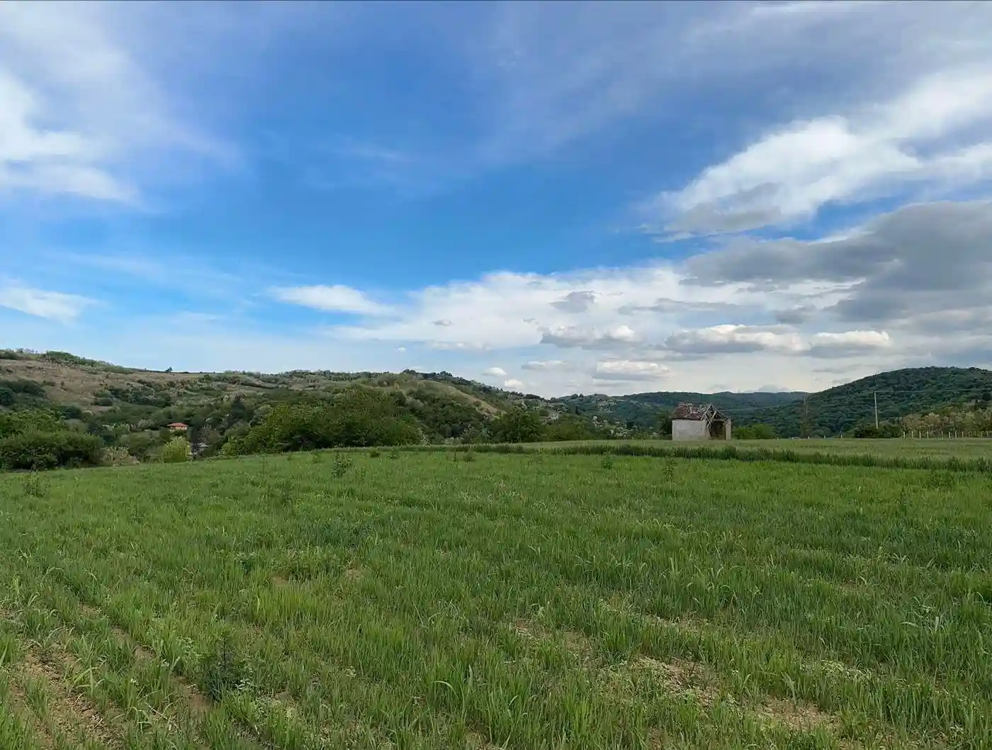 plac na prodaju Rakovac 934m2 537242