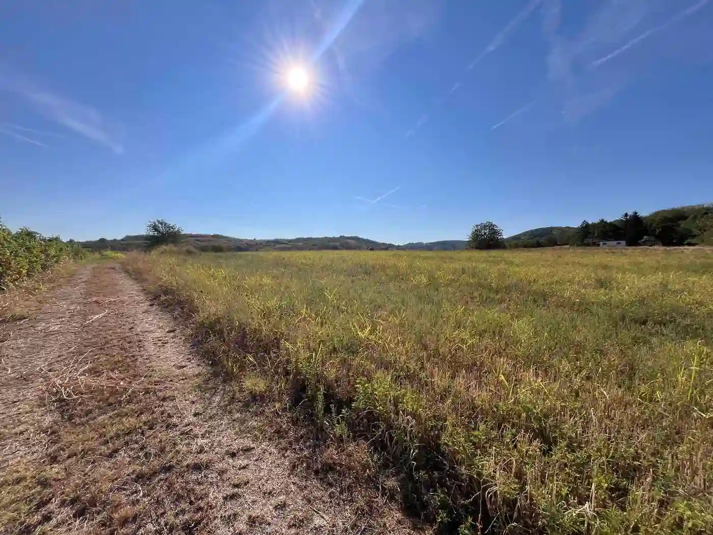 plac na prodaju Rakovac 934m2 537242