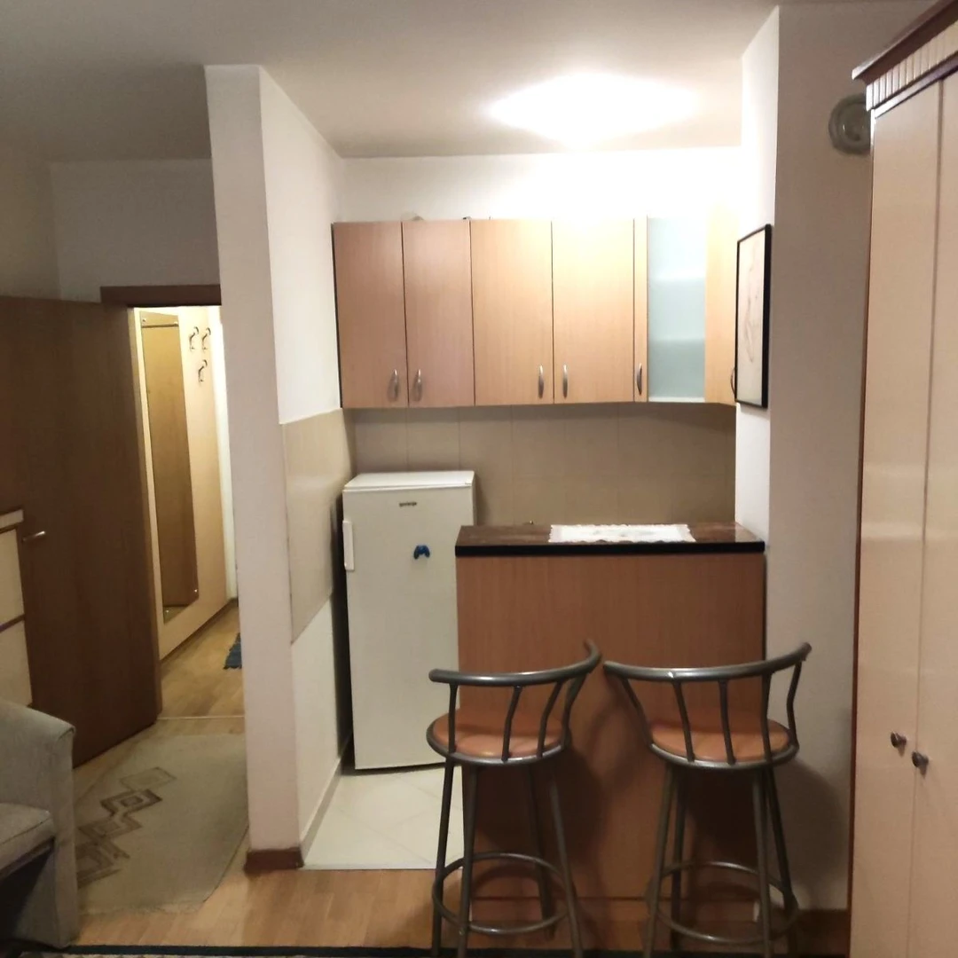 Stan na prodaju Novi Sad 27m2, 13107