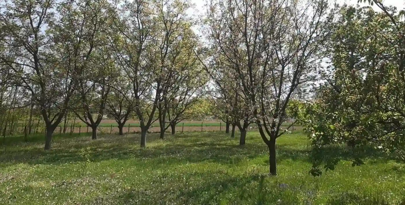 plac na prodaju Ledinci, 2546m2 545421