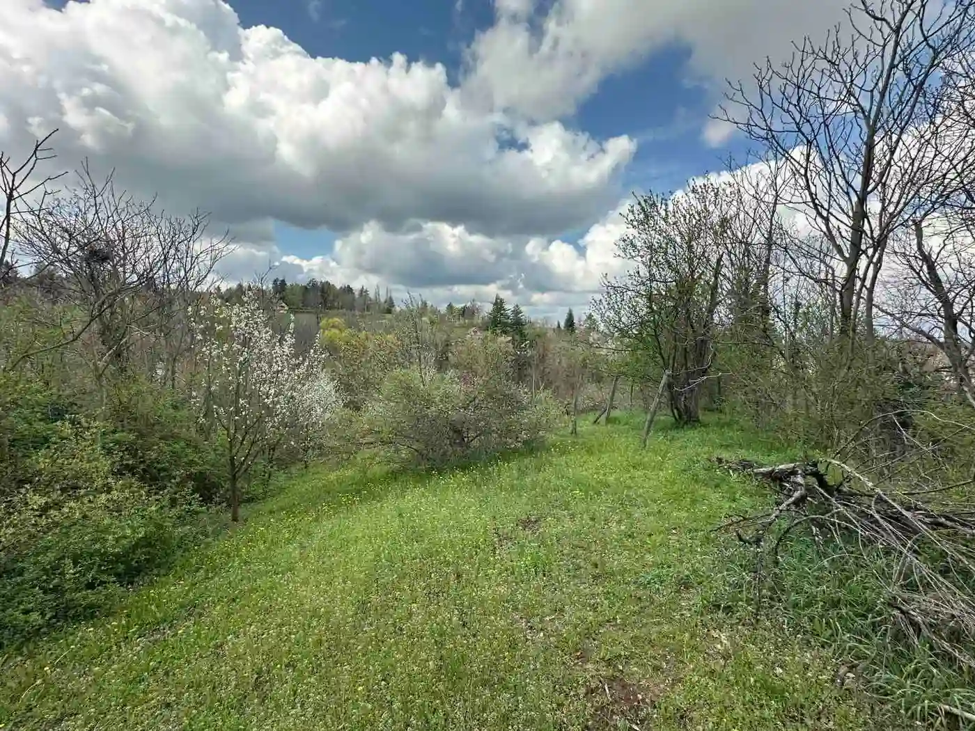kuca na prodaju Banoštor 54m2 545509