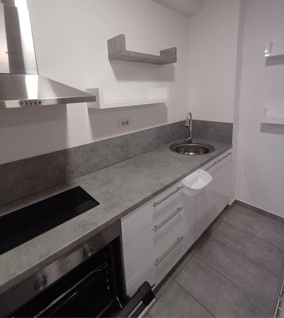 stan na prodaju Novi Sad 43m2 545434