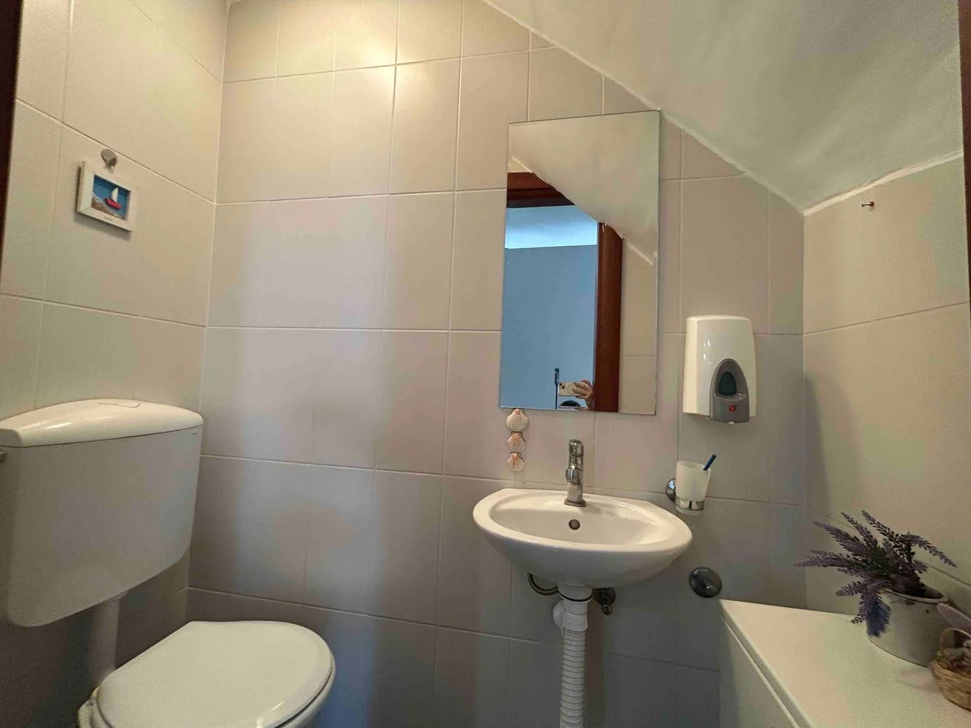 stan na prodaju Novi Sad 66m2 545146