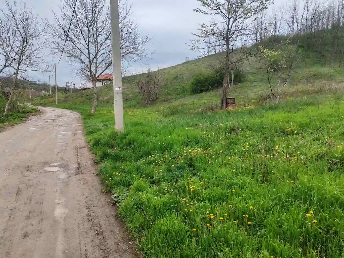 plac na prodaju Čerević, 3002m2 545692