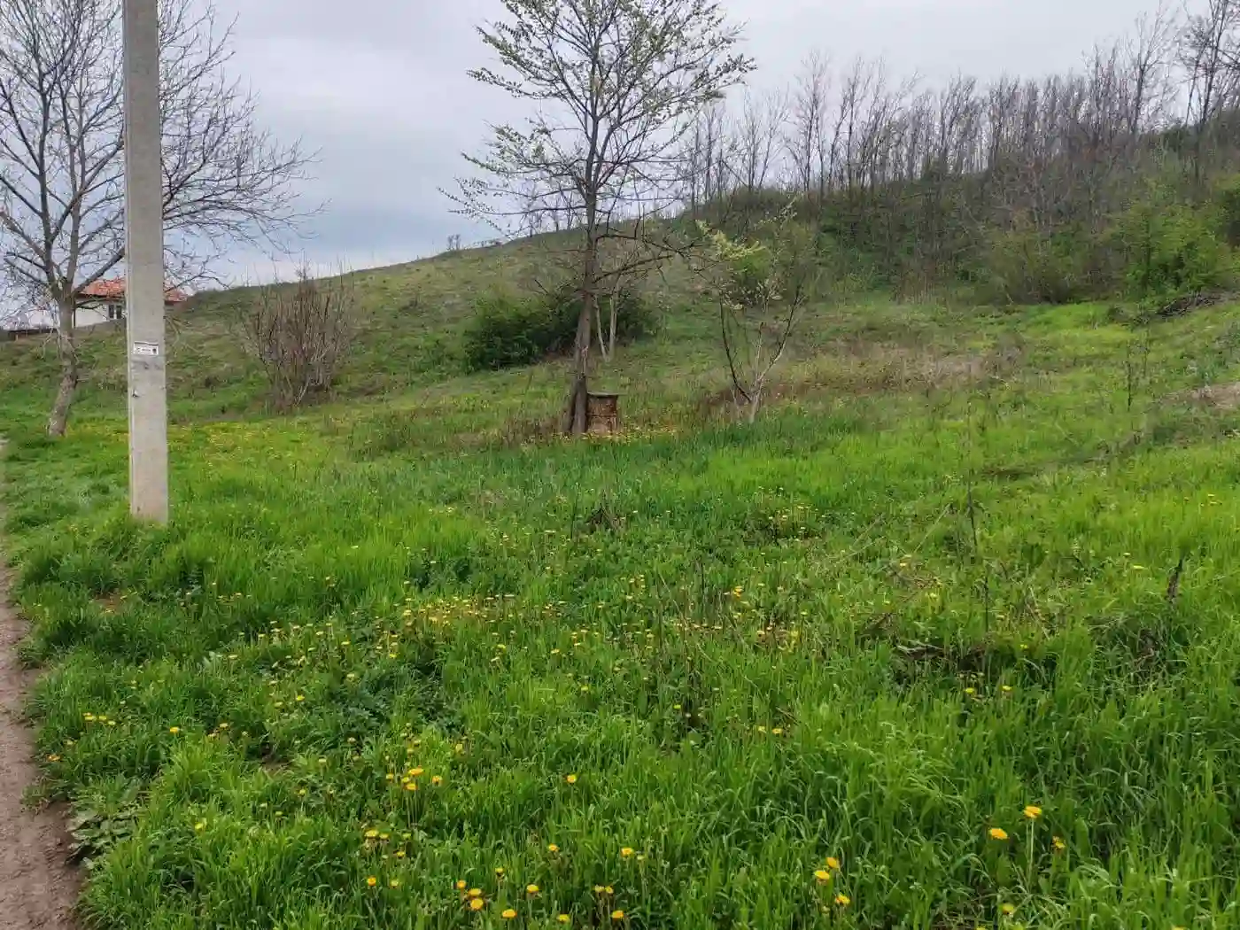 plac na prodaju Čerević 3002m2 545692