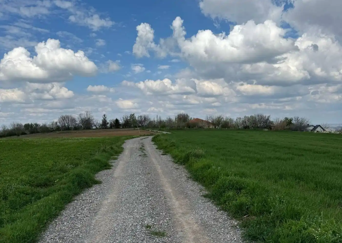 plac na prodaju Petrovaradin, 1438m2 545997