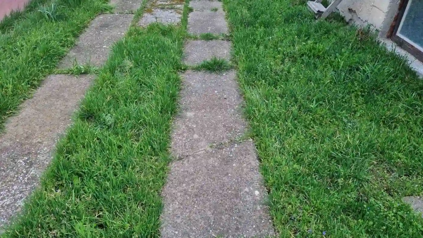 kuca na prodaju Kać, 105m2 545022