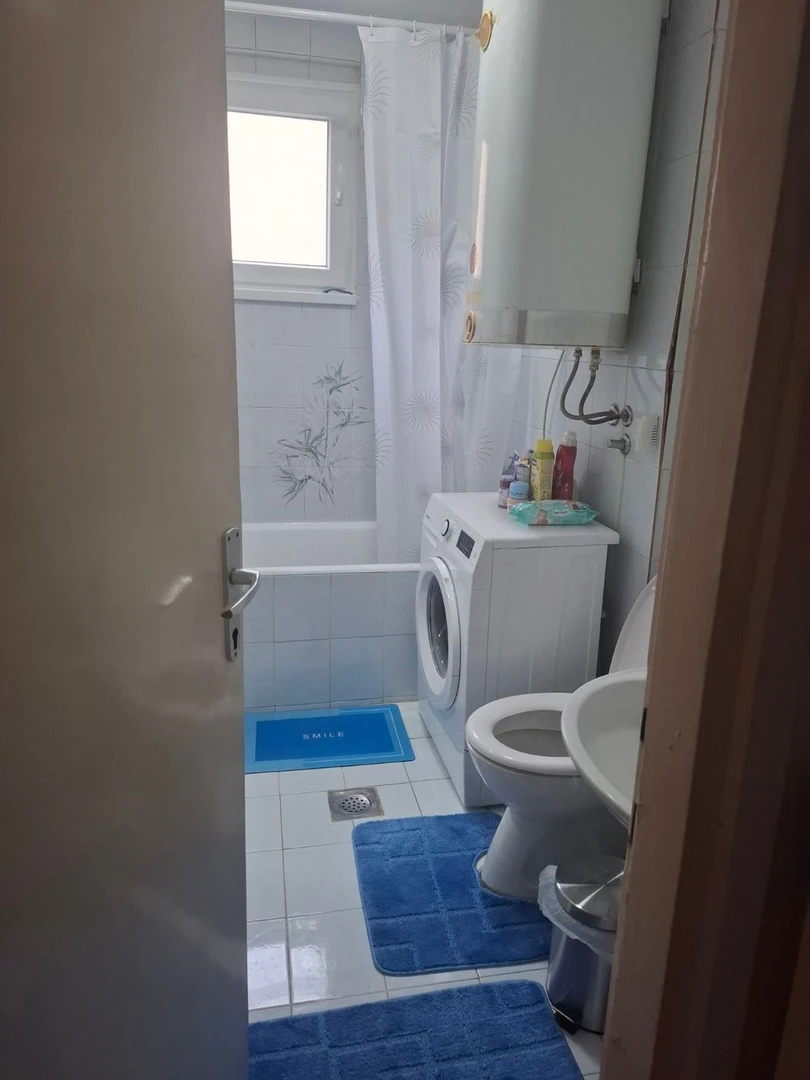 stan za izdavanje Novi Sad 38m2 13247