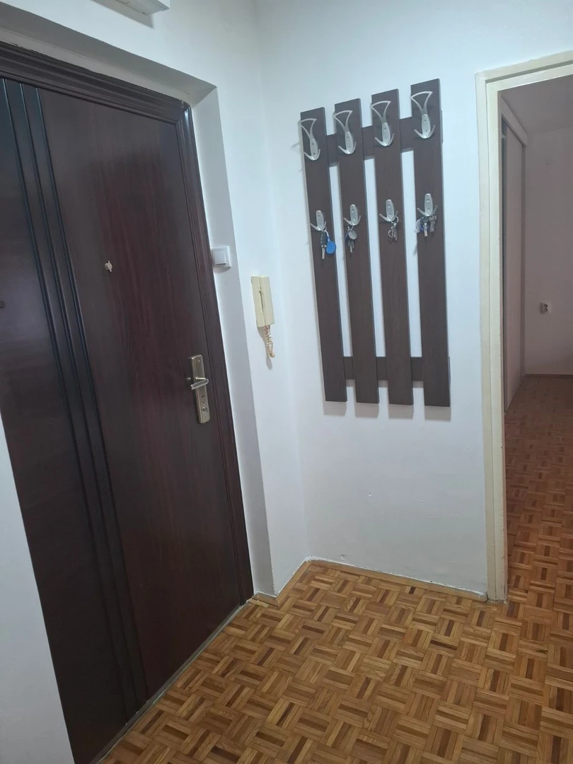 stan za izdavanje Novi Sad 38m2 13247