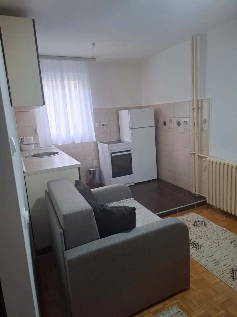 stan za izdavanje Novi Sad 38m2 13247