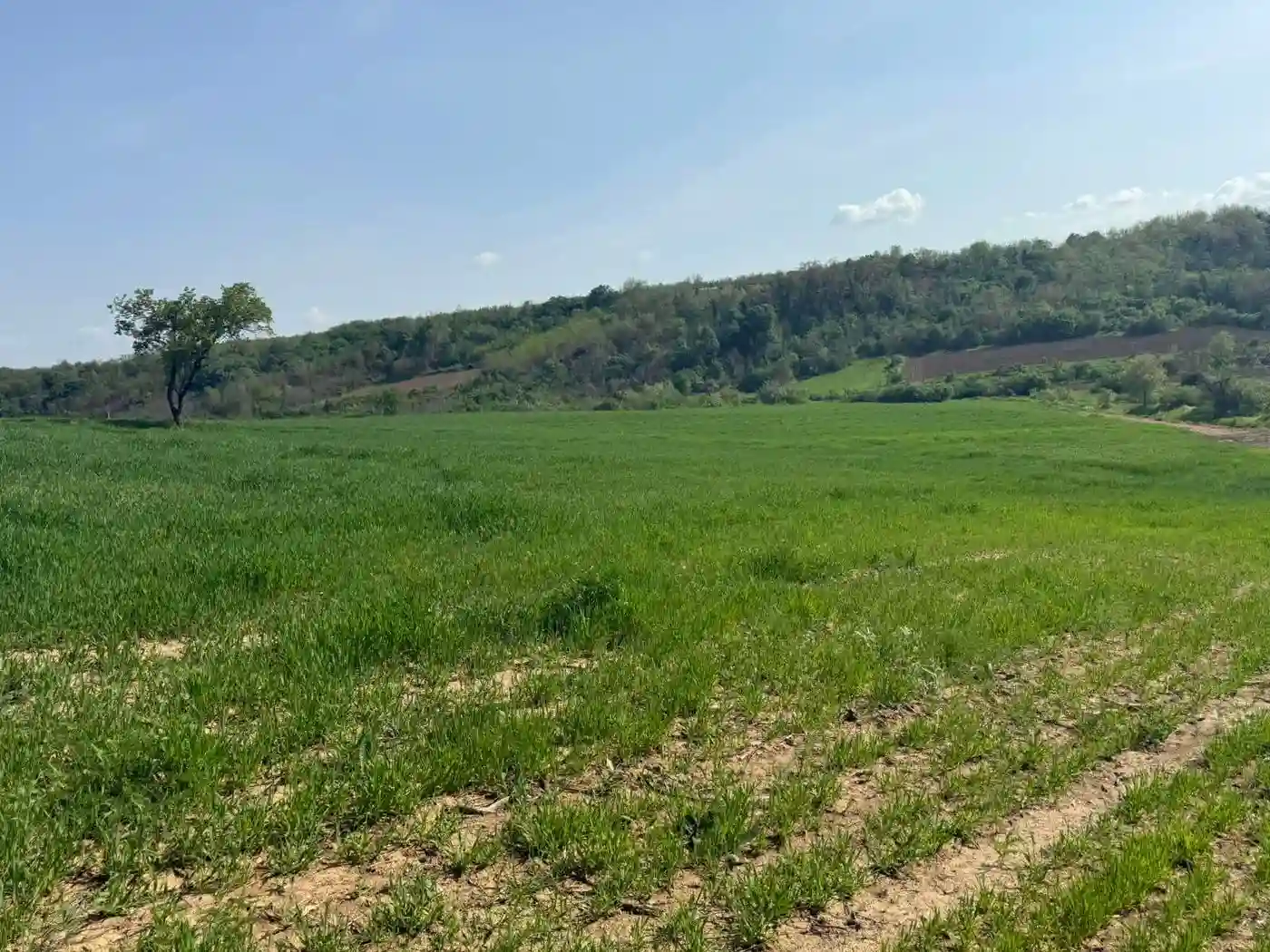 plac na prodaju Maradik, 1261m2 546866