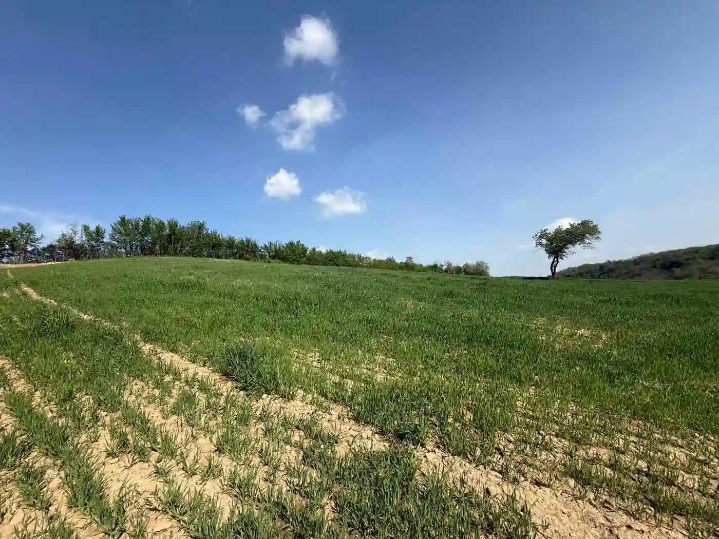 plac na prodaju Maradik 1261m2 546866