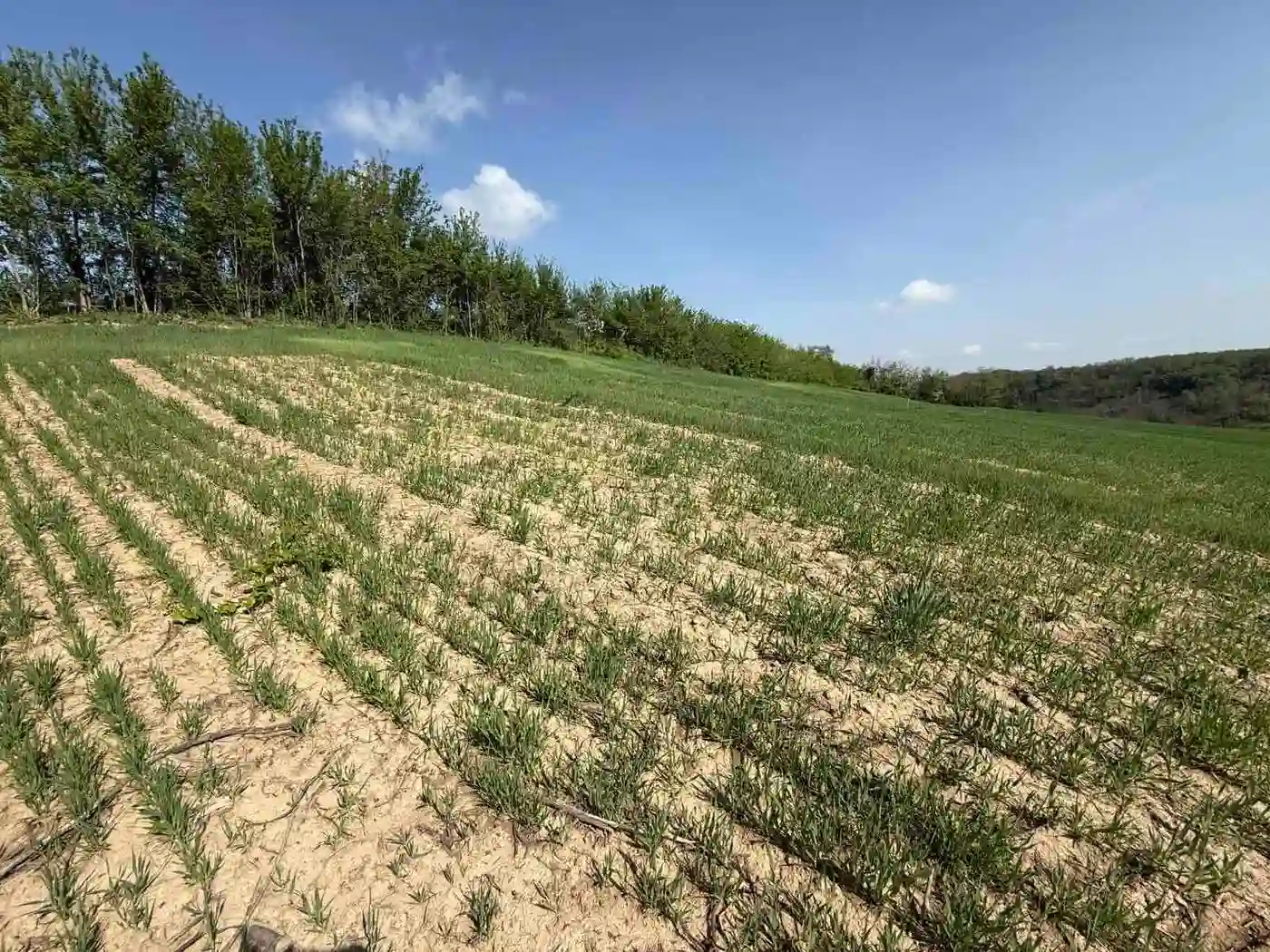 plac na prodaju Maradik 1261m2 546866