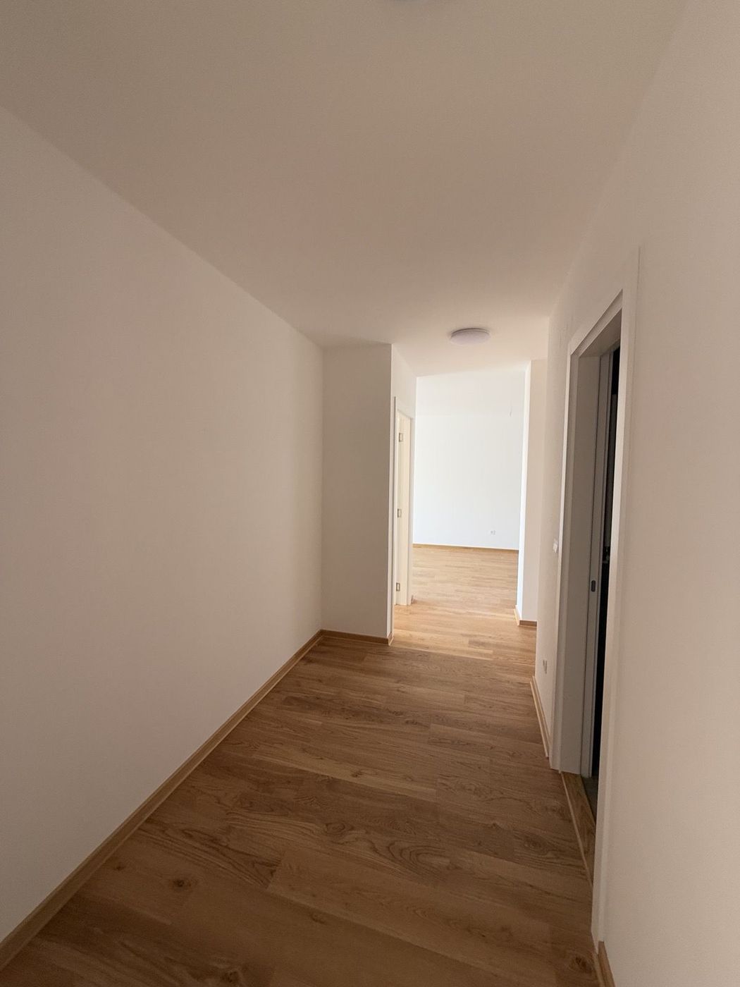 stan na prodaju Novi Sad 78m2 520132