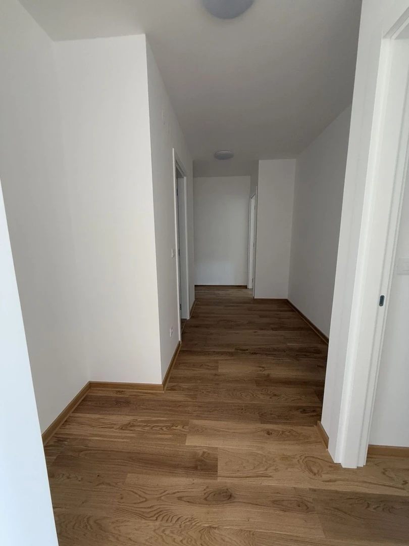 stan na prodaju Novi Sad 78m2 520132