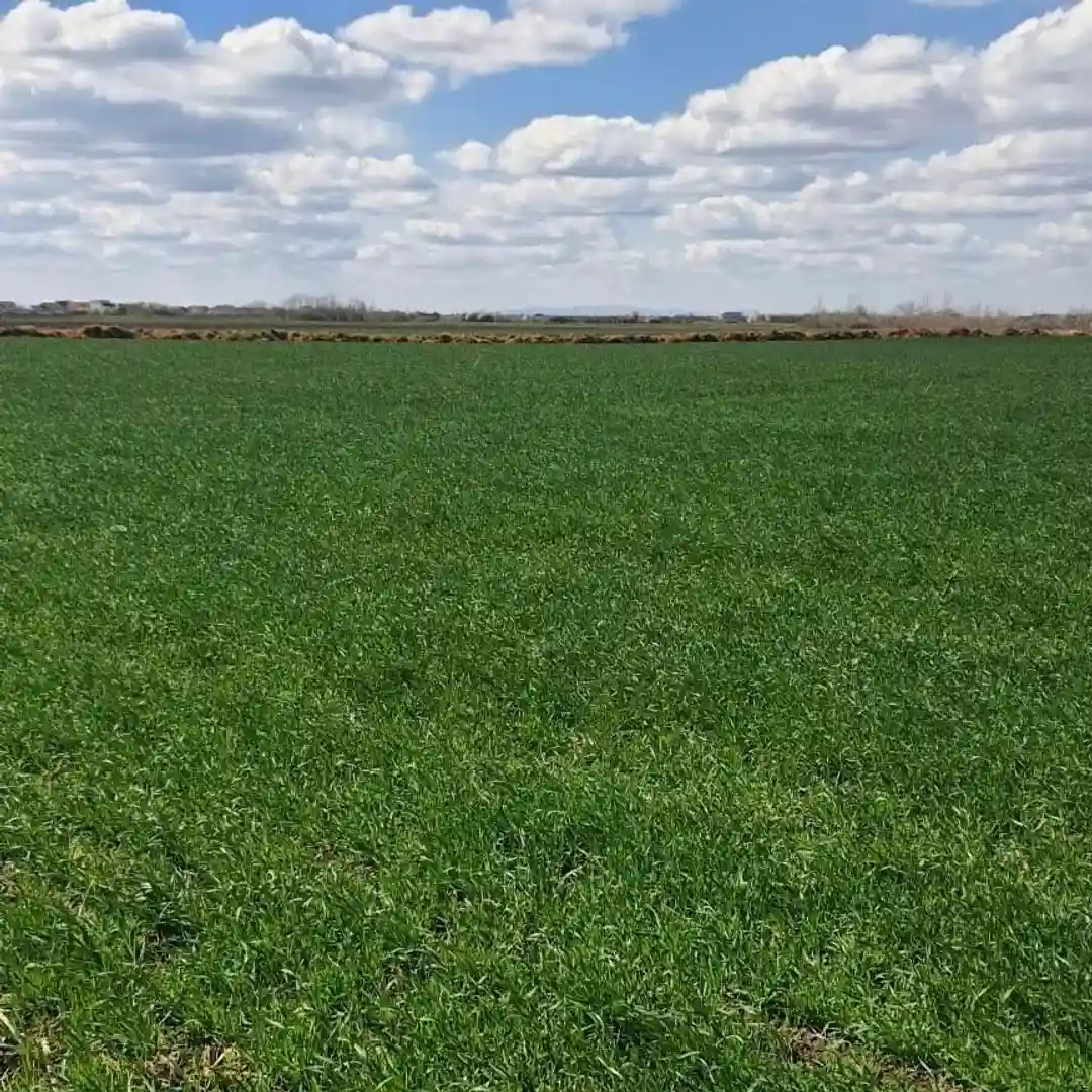 plac na prodaju Veternik, 5094m2 539359