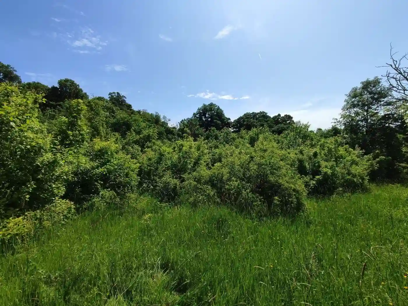 plac na prodaju Vrdnik, 4237m2 547381