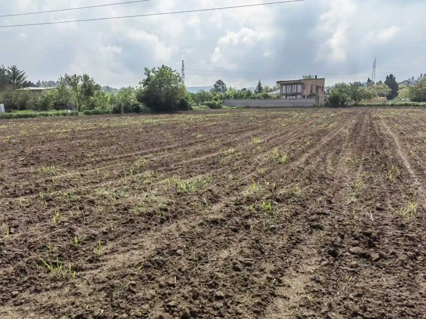 plac na prodaju Sremska Kamenica, 932m2 547405