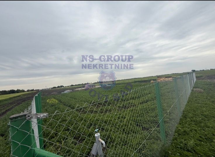 Plac na prodaju Čenej 719m2, 578533