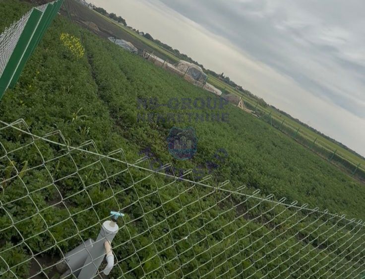 Plac na prodaju Čenej 719m2, 578533