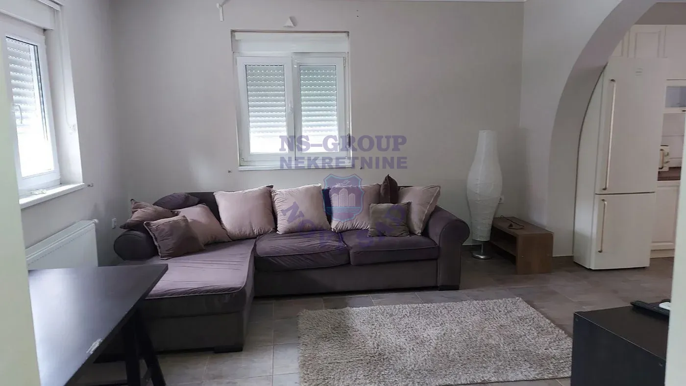 lokal za izdavanje Novi Sad 393m2 13529