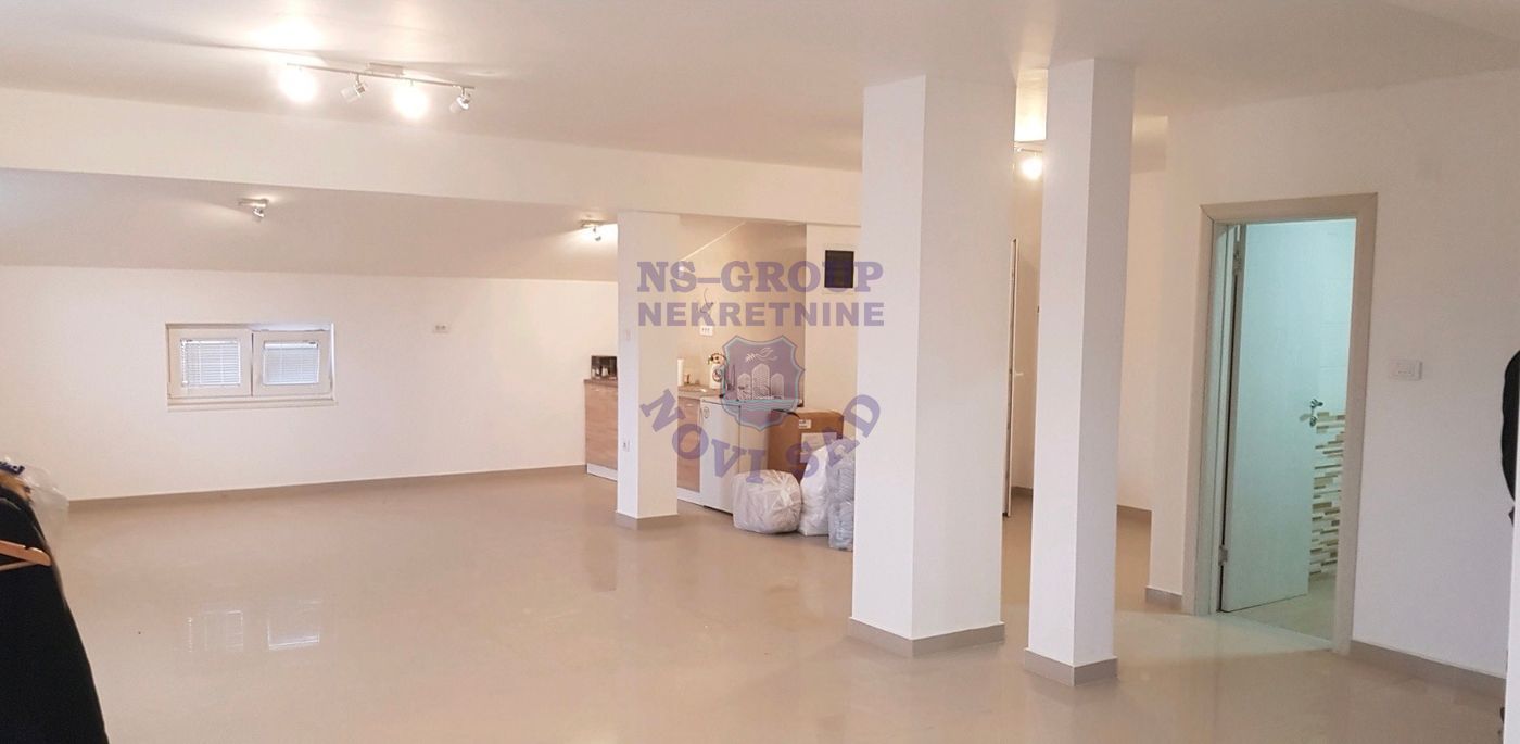 lokal za izdavanje Novi Sad 393m2 13529