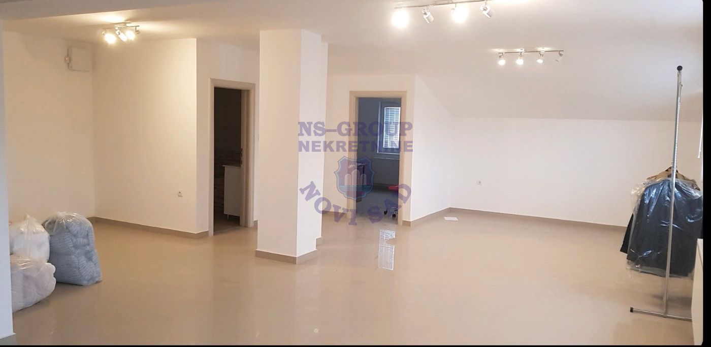 lokal za izdavanje Novi Sad 393m2 13529