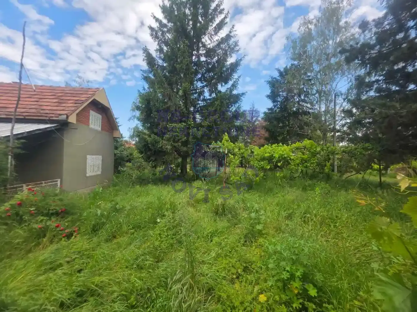 kuca na prodaju Čortanovci 24m2 548035