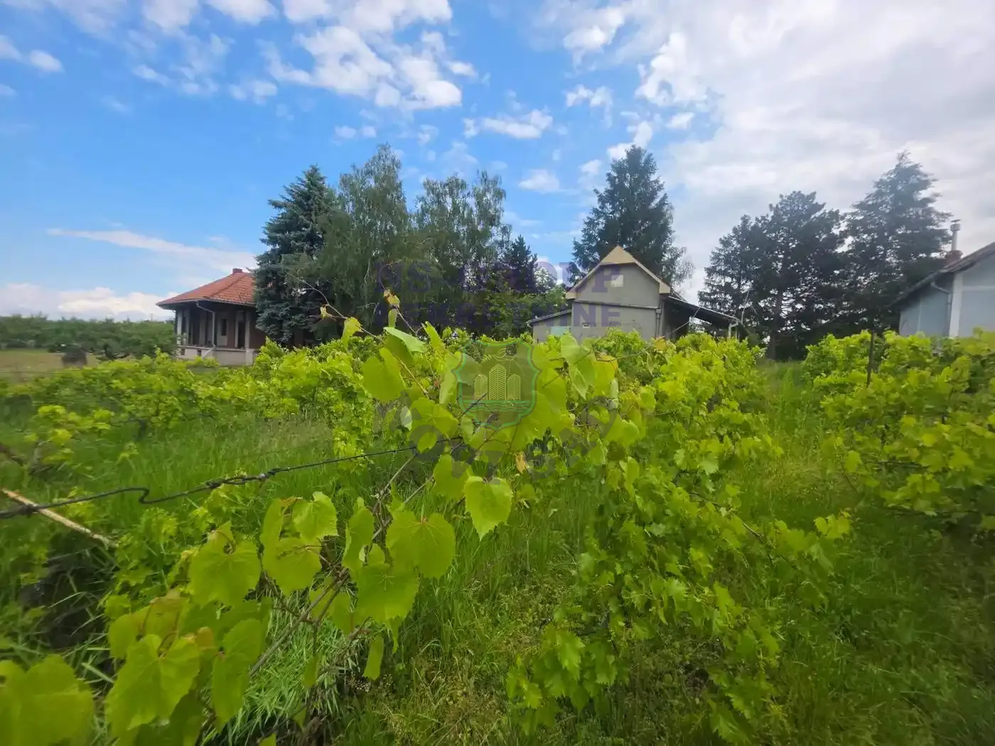 kuca na prodaju Čortanovci 24m2 548035