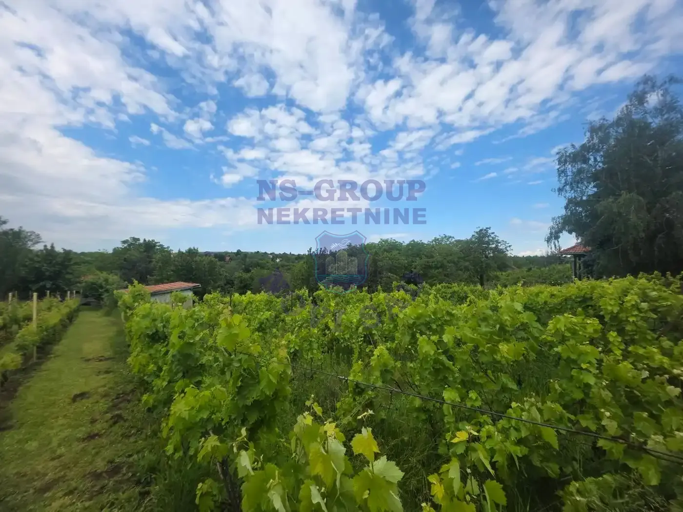 kuca na prodaju Čortanovci 24m2 548035