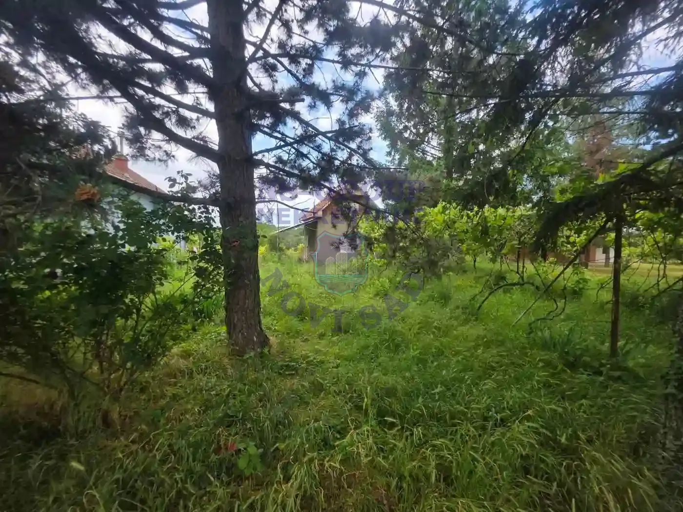 kuca na prodaju Čortanovci 24m2 548035