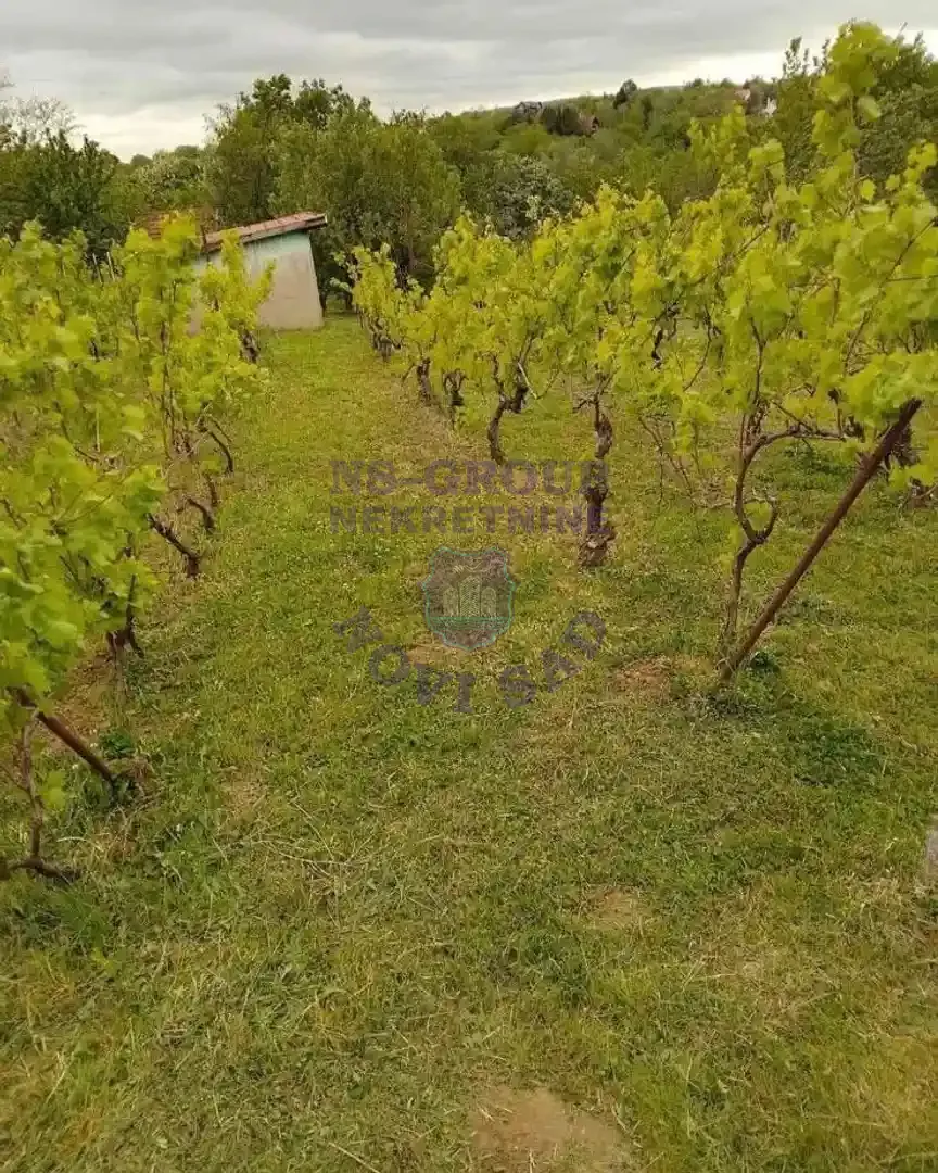 kuca na prodaju Čortanovci 24m2 548035