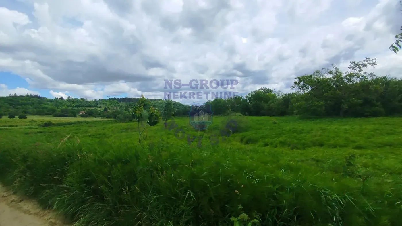 plac na prodaju Sremska Kamenica, 5685m2 548745