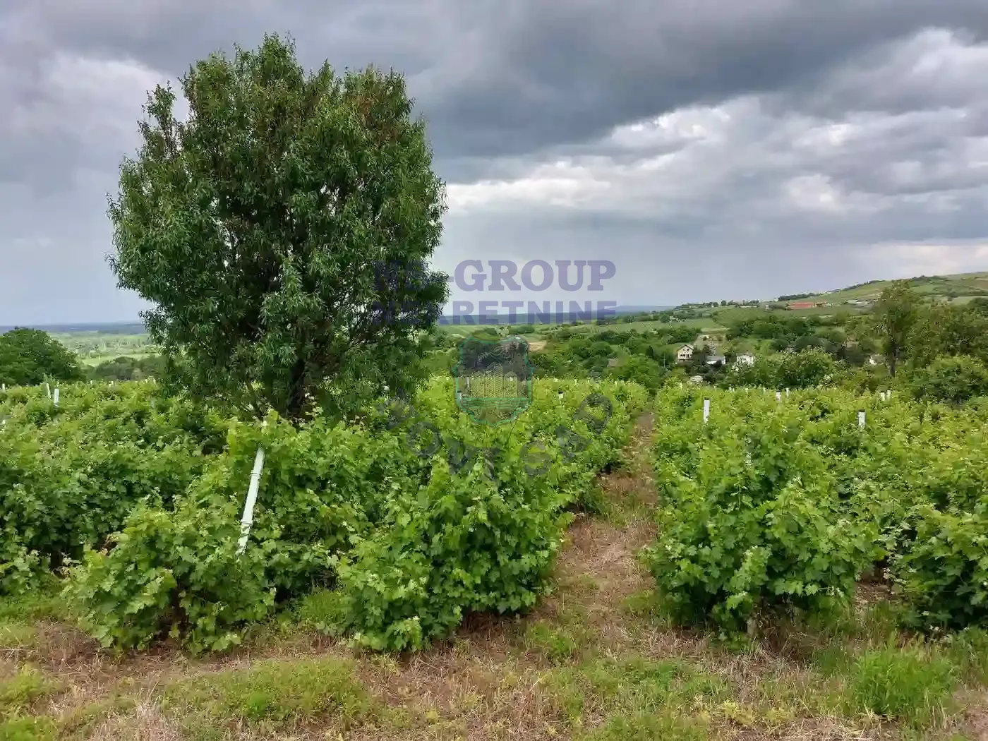 plac na prodaju Petrovaradin 8266m2 548807