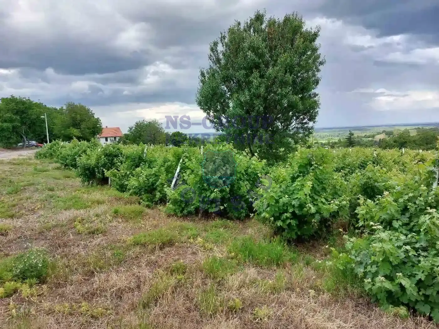 plac na prodaju Petrovaradin 8266m2 548807