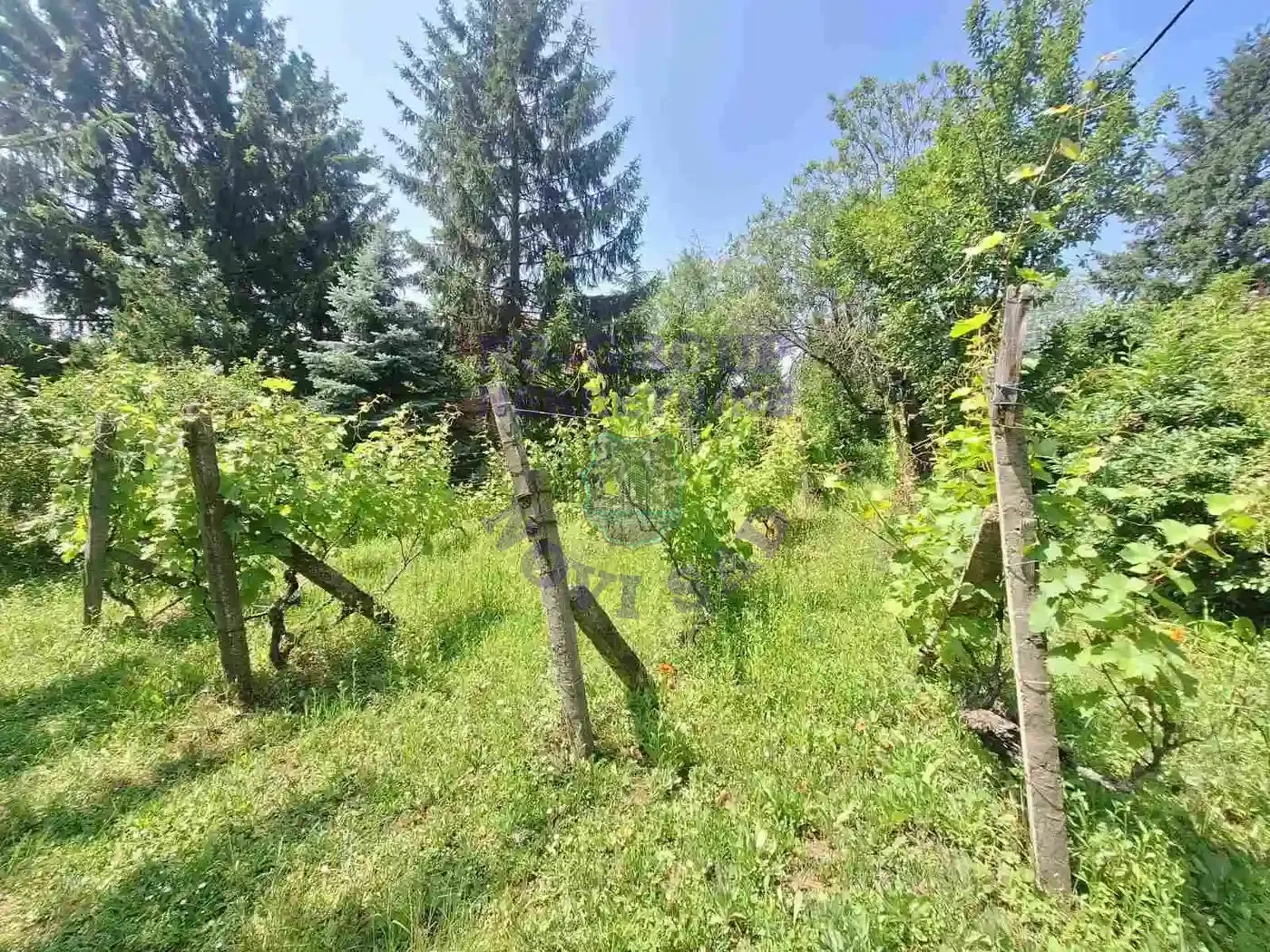 kuca na prodaju Čortanovci 24m2 549536