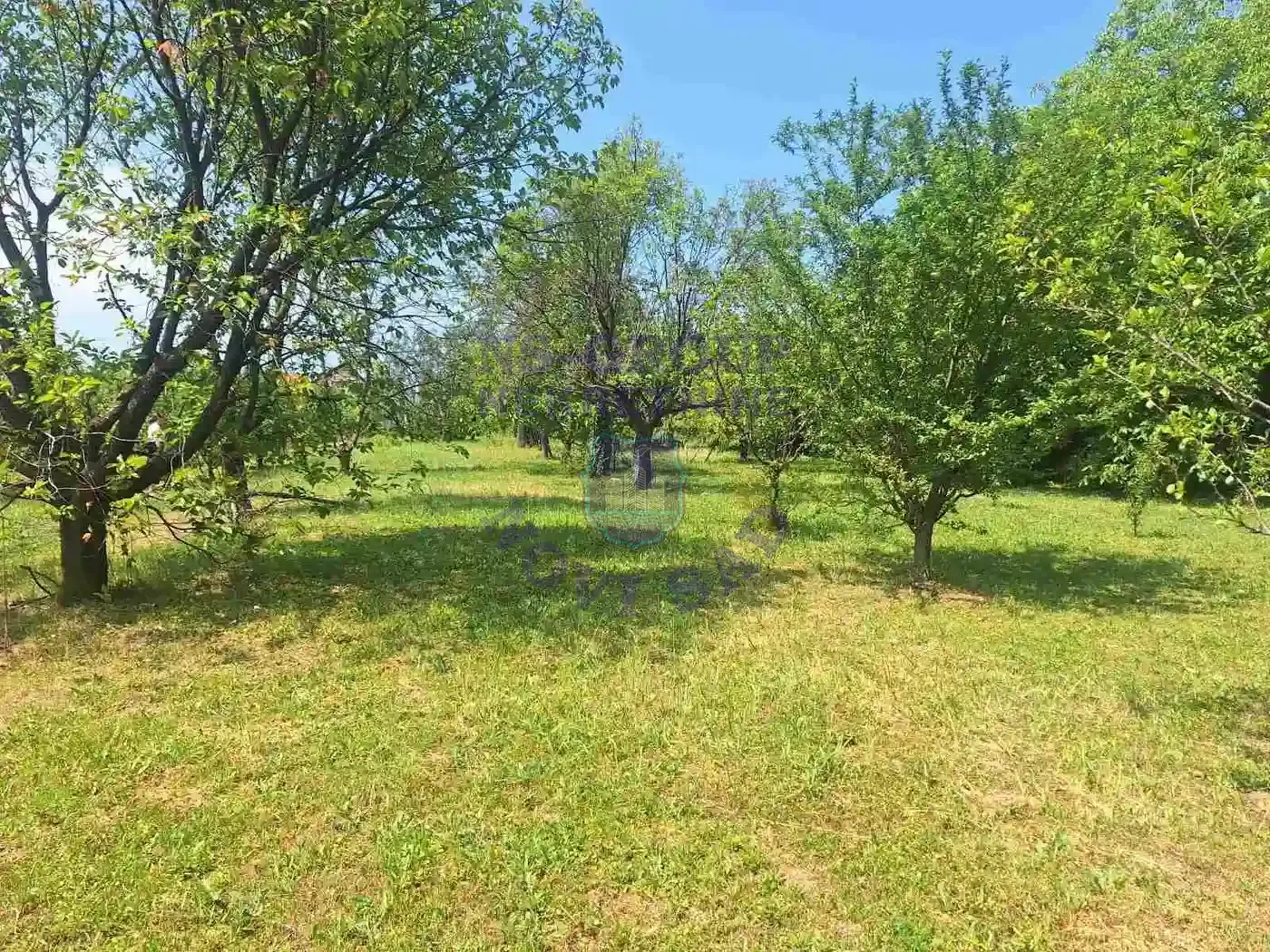 kuca na prodaju Čortanovci 24m2 549536