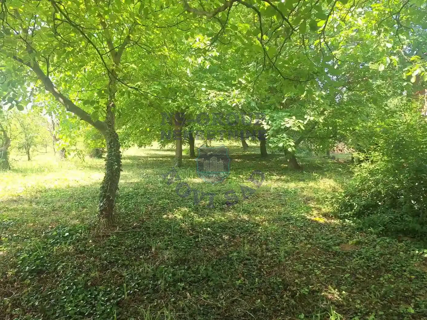 kuca na prodaju Čortanovci 24m2 549536