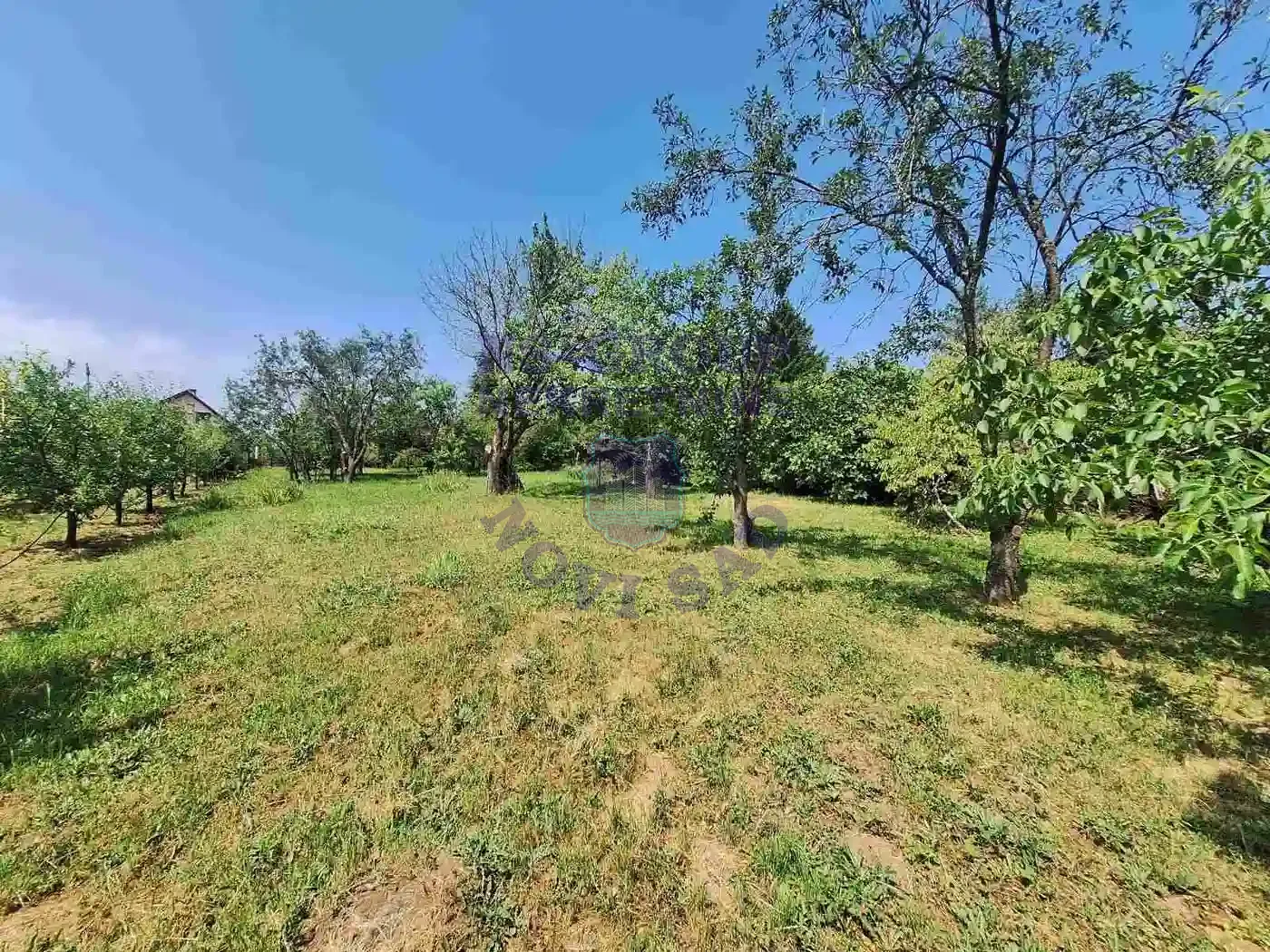 kuca na prodaju Čortanovci 24m2 549536