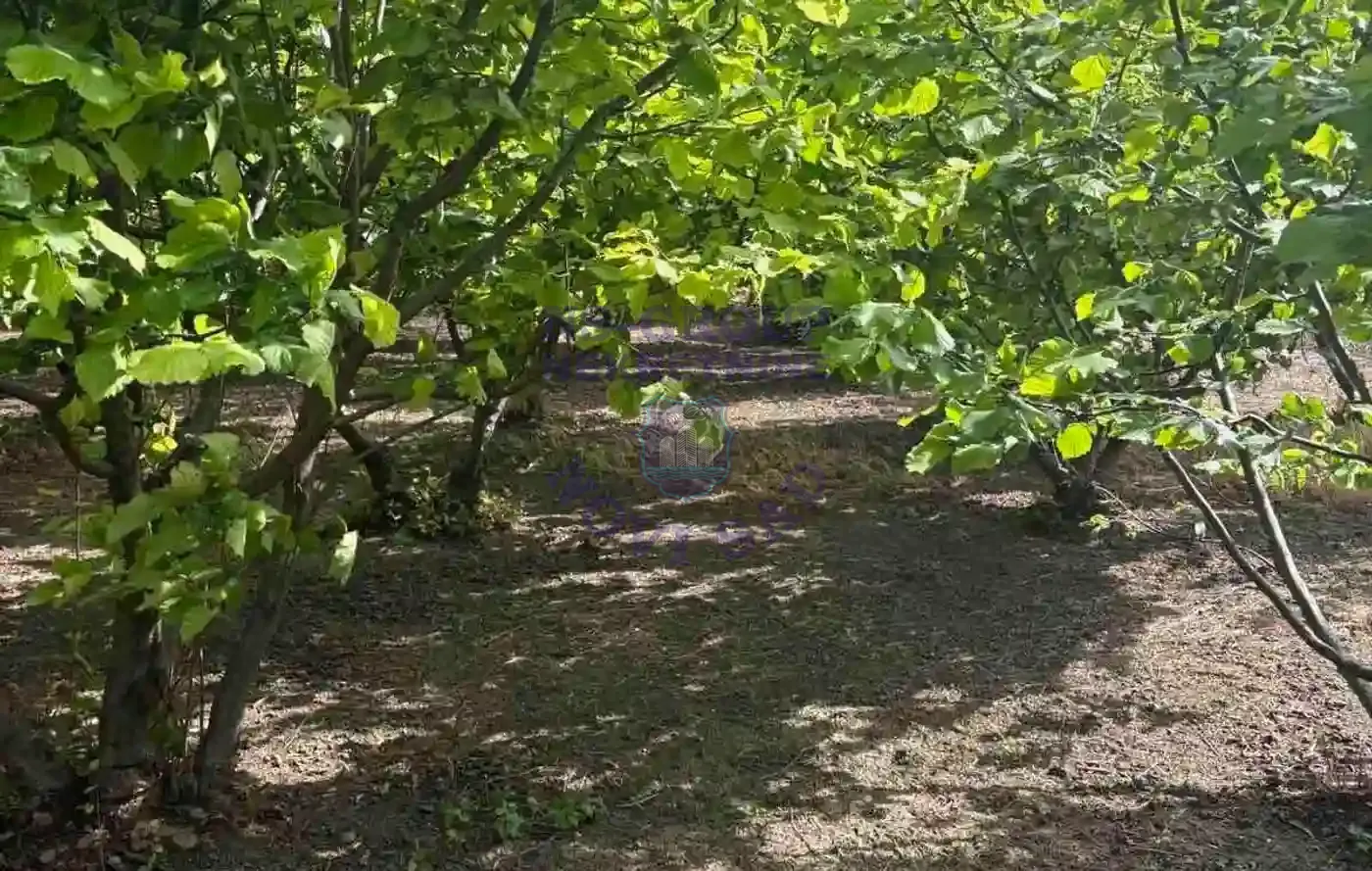 plac na prodaju Veliki Radinci 22289m2 549161