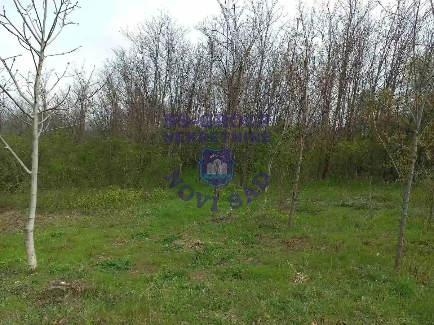 plac na prodaju Rakovac 1614m2 549701