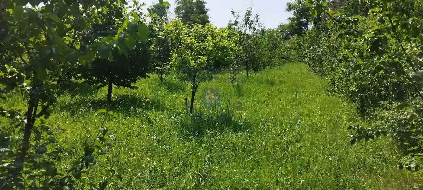 kuca na prodaju Ledinci 200m2 549829