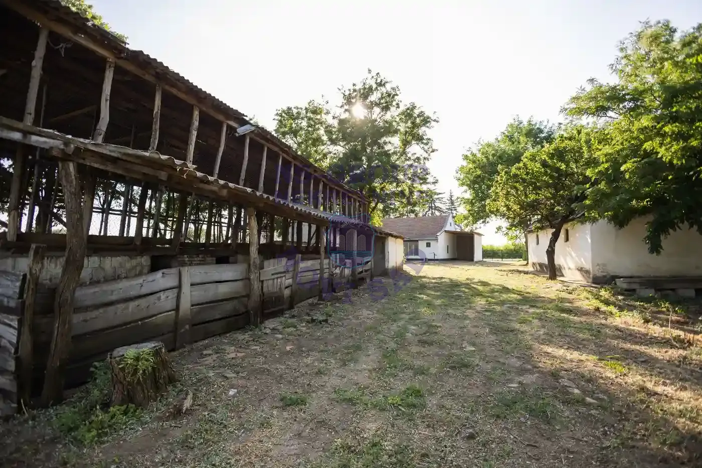 kuca na prodaju Srbobran 261m2 550606