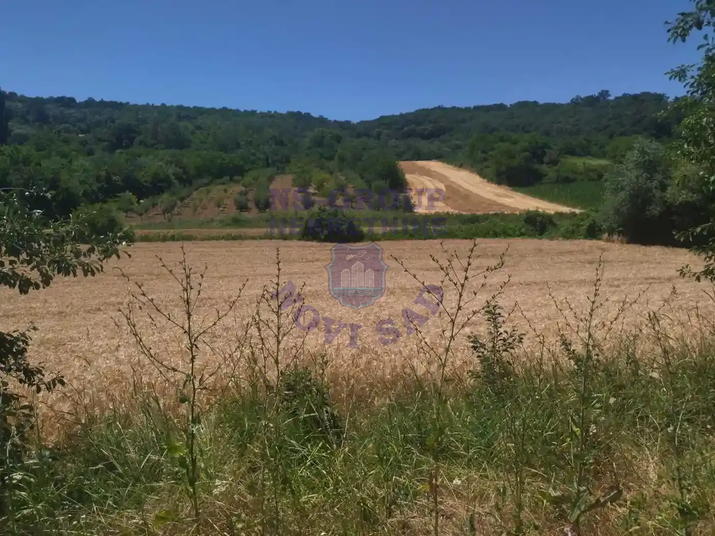 plac na prodaju Beočin, 8881m2 550667