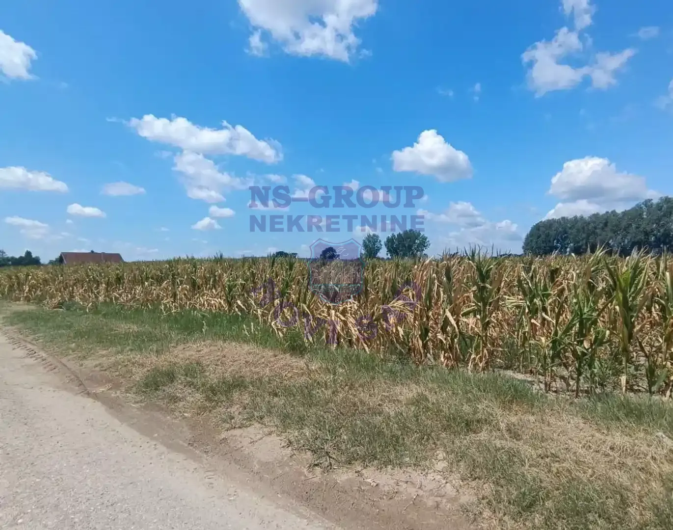 plac za izdavanje Kać, 8181m2 308292