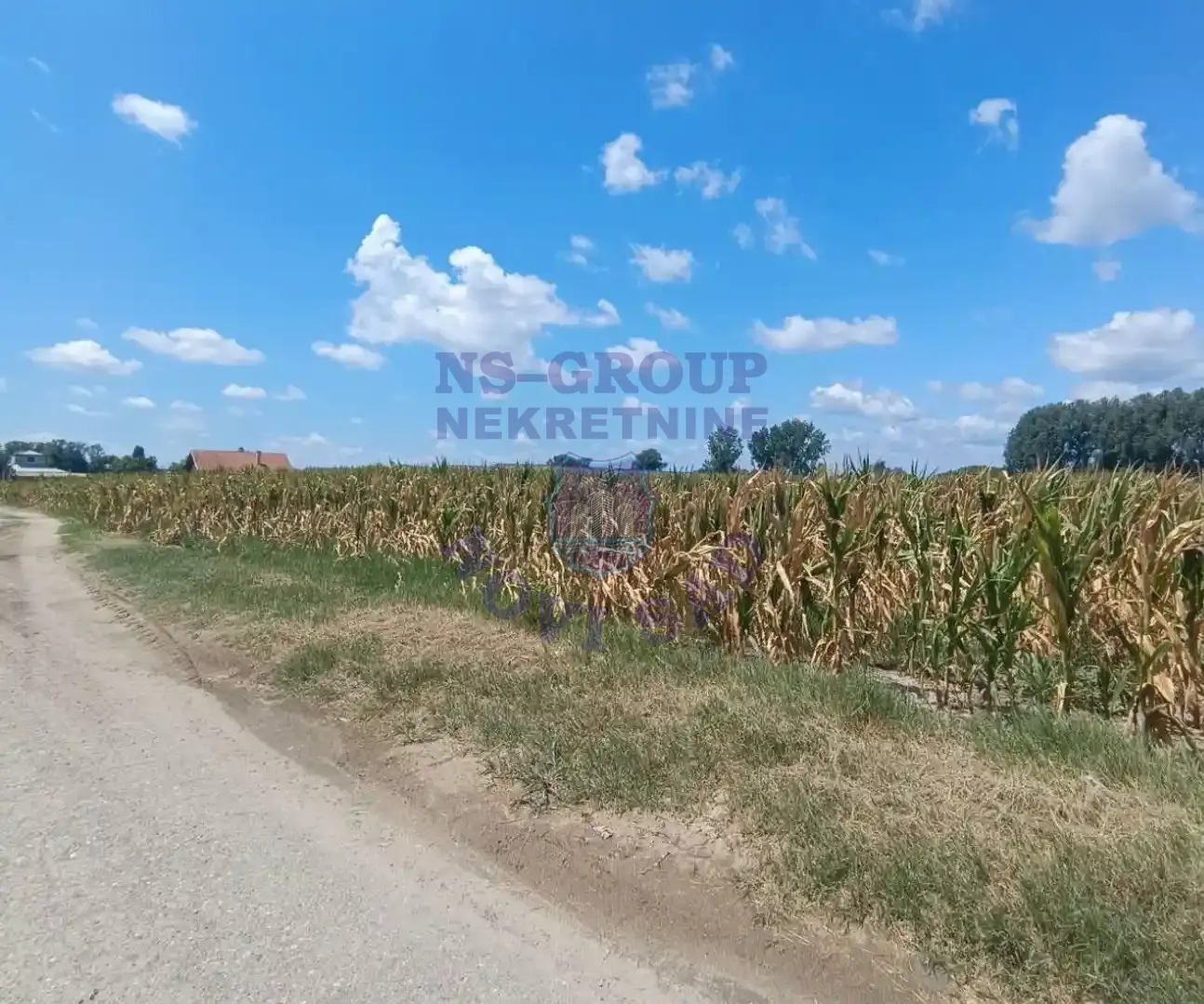 plac na prodaju Kać 8181m2 308292