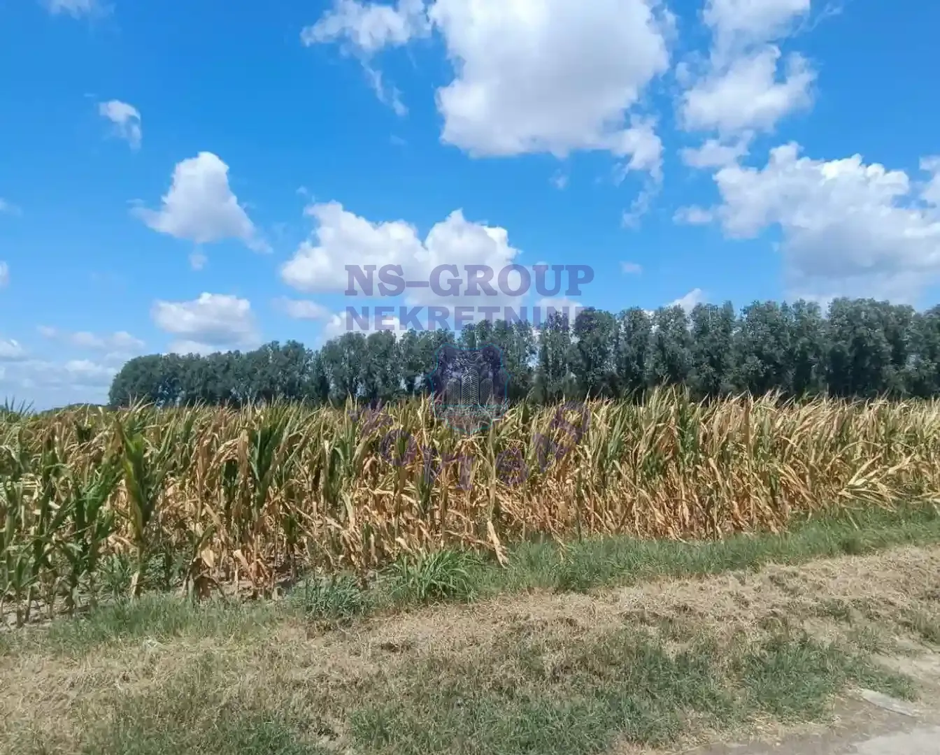 plac na prodaju Kać 8181m2 308292
